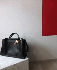 Zeitgeist bag (comes in two sizes)